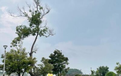 Hari Pertama
