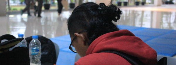 alvinsandi